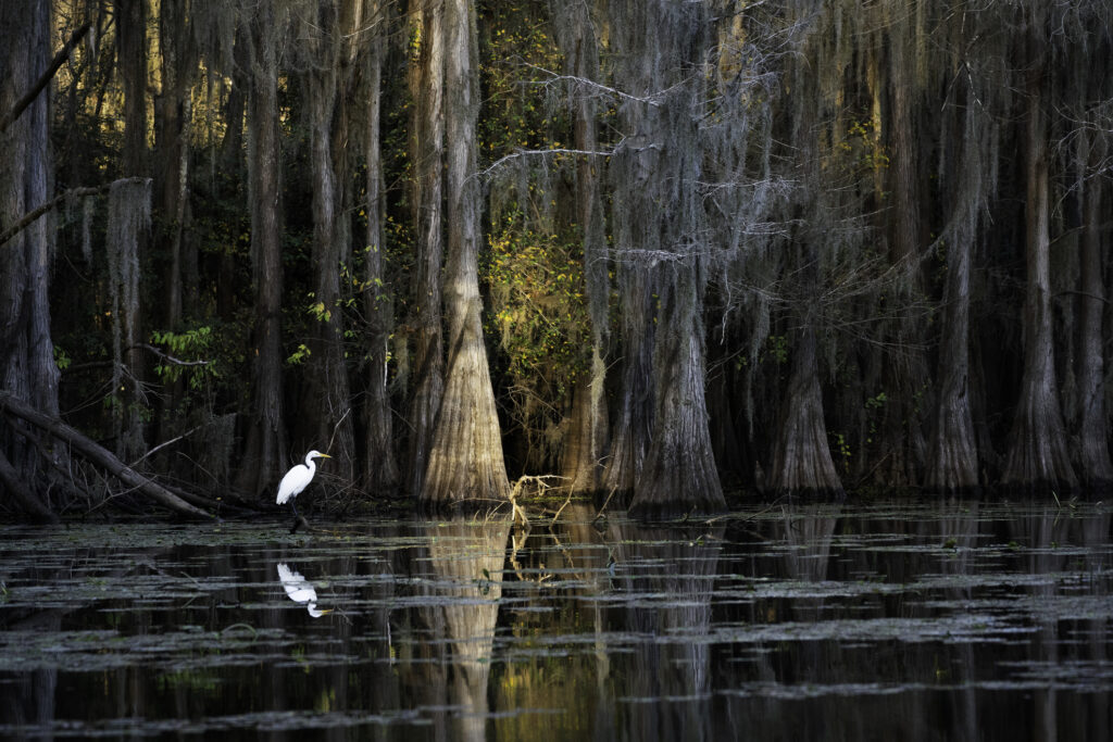 travel nursing jobs in louisiana